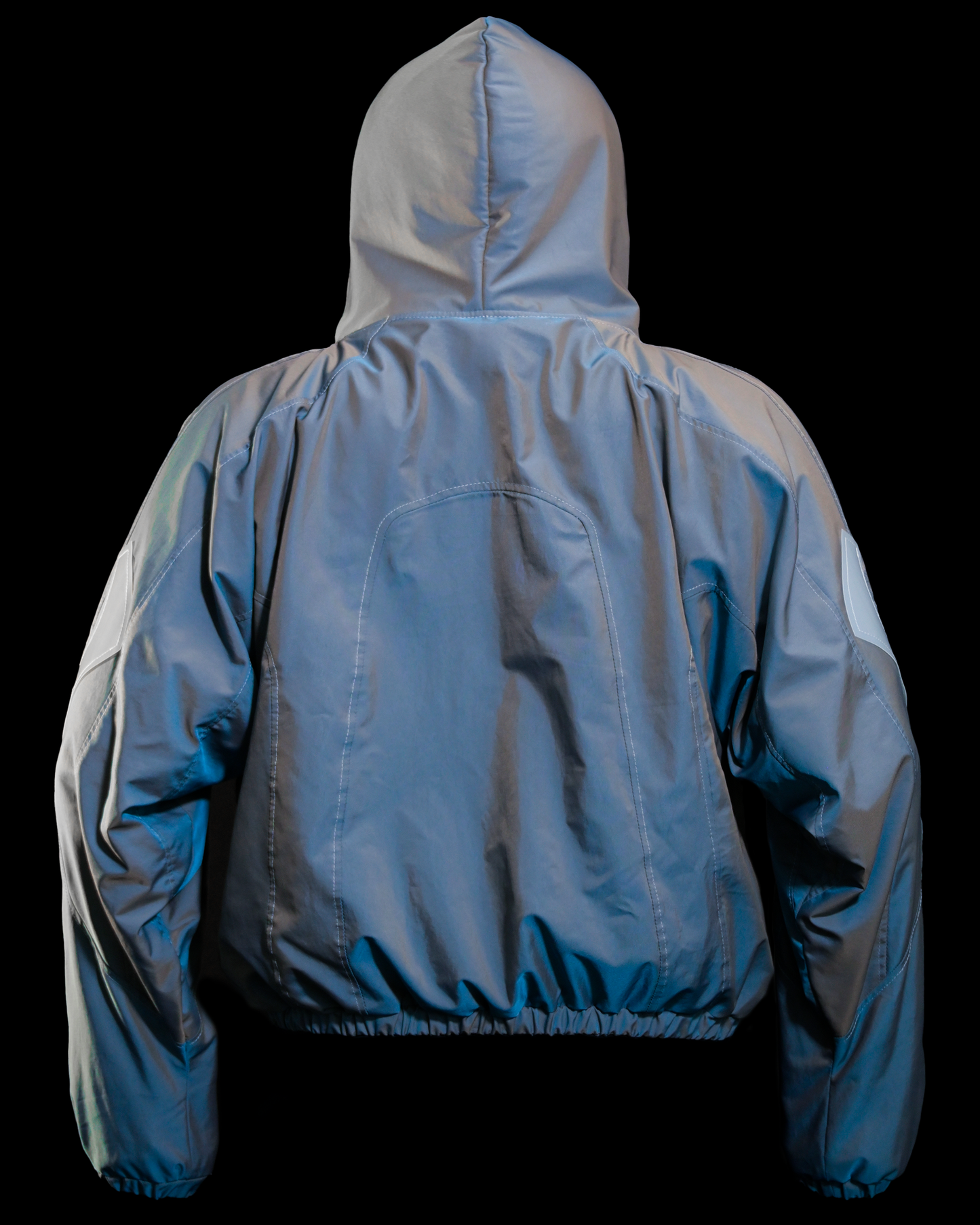 Hologram - Large