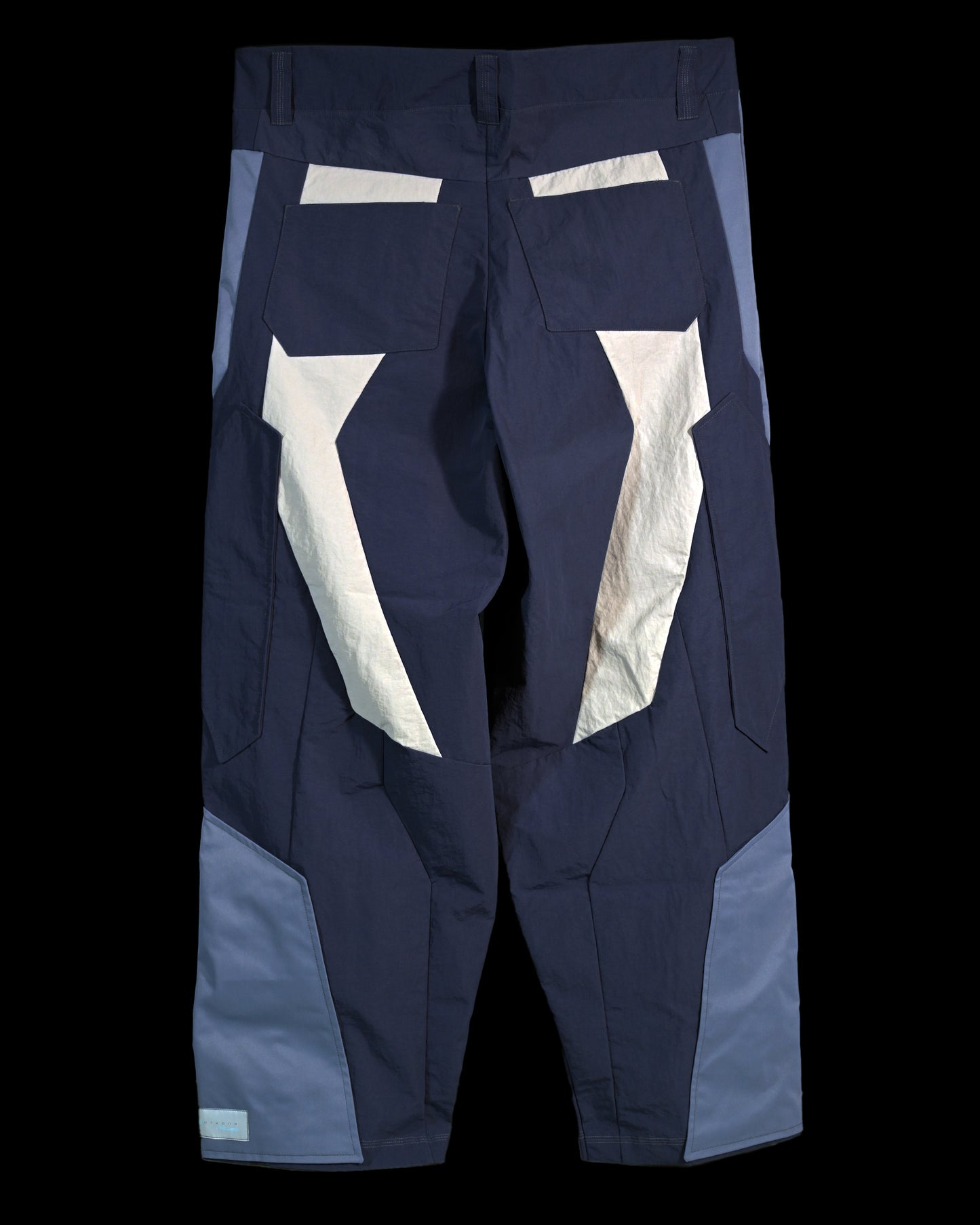 blue techno techwear cyberspace pants, back view
