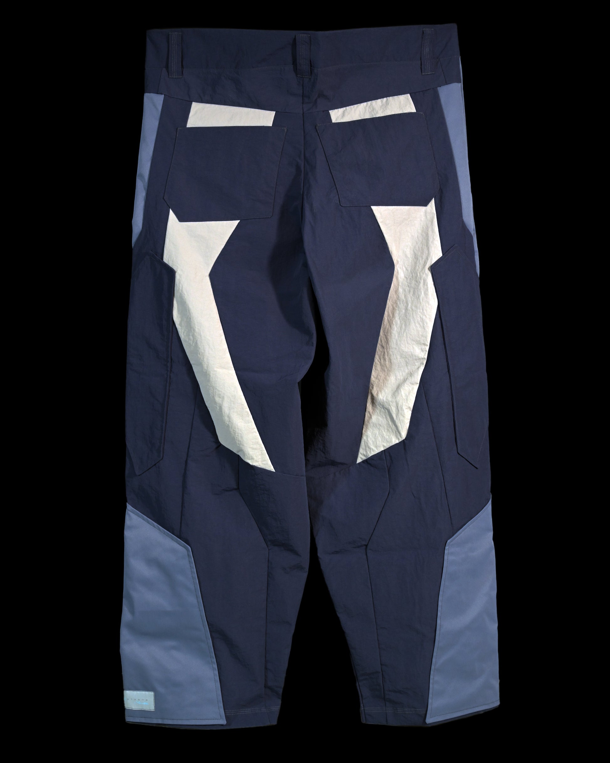 blue techno techwear cyberspace pants, back view